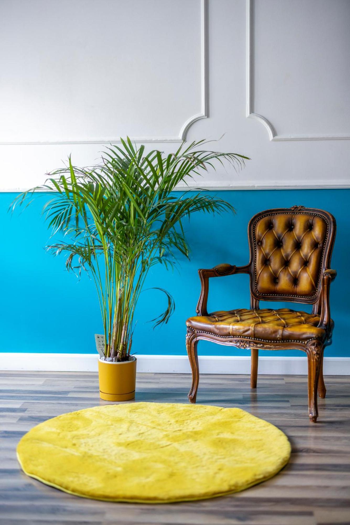 Royal Apartment وودج المظهر الخارجي الصورة
